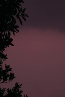 禁忌